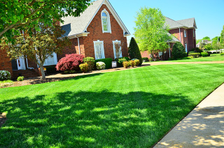 Illustration for article titled Take Full Advantage of Your Pleasure on a Sunny Day by Finding a Lawn Care Provider for Your Lawn